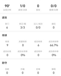 开云-哈兰德战布莱顿全场数据：射门6次进1球，传球9次
