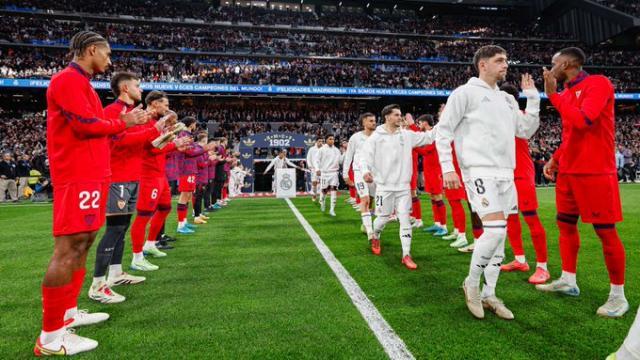 1734885177063098025.jpg 1734885174552.jpg